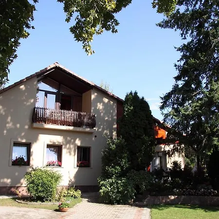 Aba Wellness House
