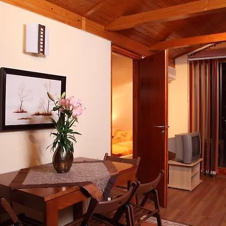 Aba Wellness House